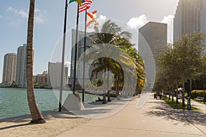 Miami bayfront park