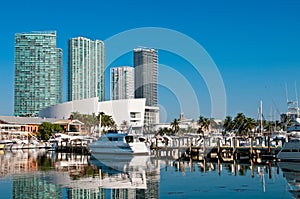 Miami Bayside Marina photo