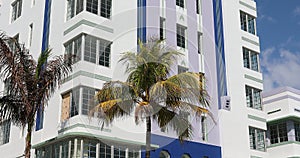 Miami Beach Art Deco Buildings With Palm Tree