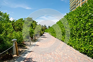 Miami Beach Atlantic Greenway pedestrian path empty during Coronavirus covid 19 pandemic