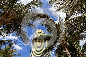 Miami Beach Cityscape