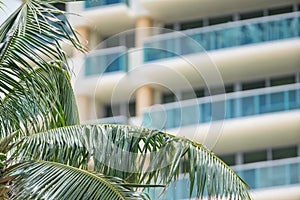 Miami Beach deco architecture and tropical palm tree fronds