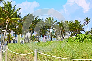 Miami Beach entrance with palm trees Florida US