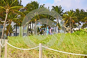 Miami Beach entrance with palm trees Florida US