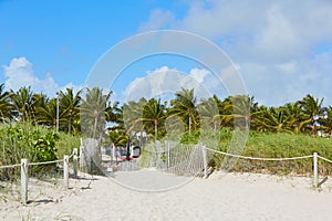 Miami Beach entrance with palm trees Florida US