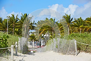 Miami Beach entrance with palm trees Florida US