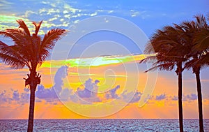 Miami Beach, Florida colorful summer sunrise or sunset with palm trees