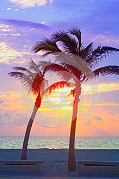 Miami Beach, Florida colorful summer sunrise or sunset with palm trees