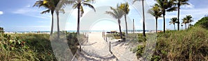 Miami Beach panorama