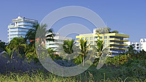 Miami Beach scene dunes and beachfront buildings 4k HDR