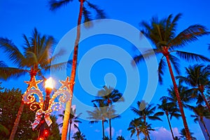 Miami Beach South Beach sunset palm trees Florida