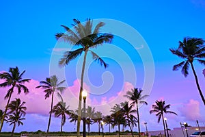 Miami Beach South Beach sunset palm trees Florida