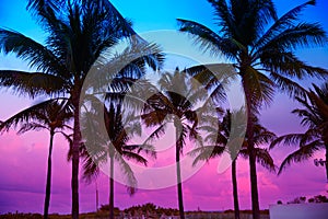 Pláž juh pláž západ slnka palma stromy 
