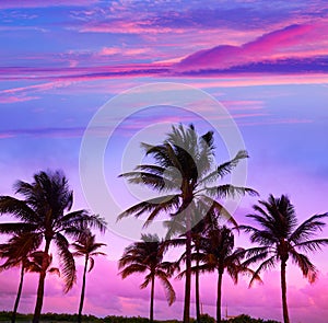 Miami Beach South Beach sunset palm trees Florida