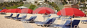 miami beach with sunloungers and umbrellas for summer relax