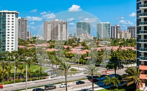 Miami city urban view with palms and houses in daytime, Florida.