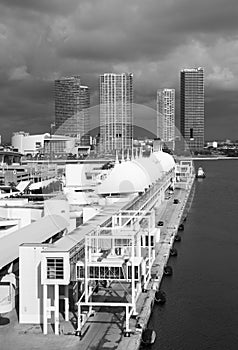 Miami Cruise Ship Port