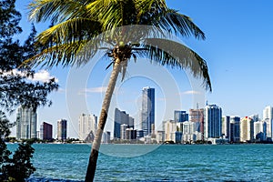 Miami Downtown skyline photo