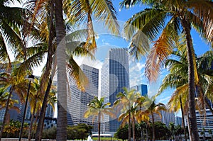 Miami Downtown skyline view from Bayfront park