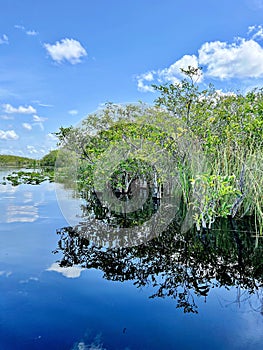 Miami Everglades