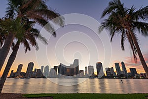 Miami, Florida, USA skyline on Biscayne Bay with Palms