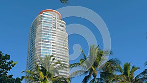 Miami high rise condominiums with rows of palm