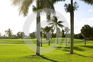 Miami Key Biscayne Golf tropical field