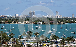 Miami Sailboats