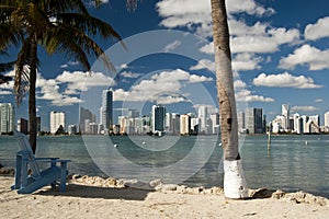 Miami Skyline photo