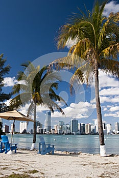 Miami Skyline