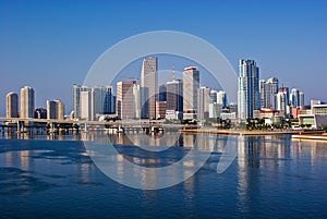 Miami Skyline photo