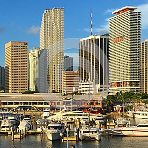 Miami skyline from the Bayside Marina photo
