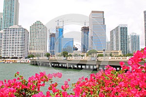 Miami skyline. Brickell key bridge. photo