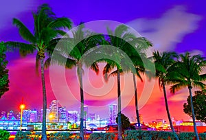 Miami skyline sunset with palm trees Florida