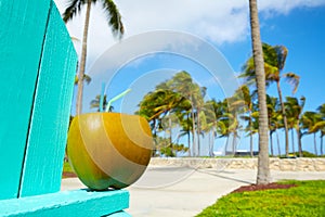 Miami South Beach 2 straws coconut Florida