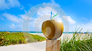 Miami South Beach 2 straws coconut Florida