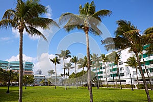 Miami south Beach palm trees park Florida