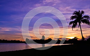 Miami Sunset in Palm Tree Silhouette