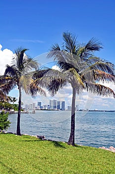 Miami Tall Buildings Overlooking the Florida Intra-Coastal Waterways photo