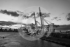 Miami, USA - March 01, 2016: sea port and city skyline at dusk. Sea cargo. Sea boats and cranes with illumination