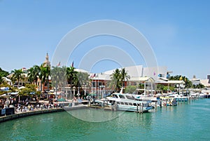 Miami waterfront pier