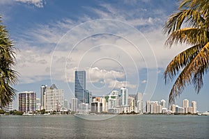 Miami waterfront skyline