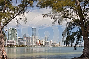 Miami waterfront skyline