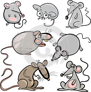 Mice and rats set cartoon illustration