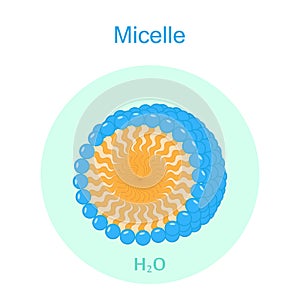 Micelle Color Icon