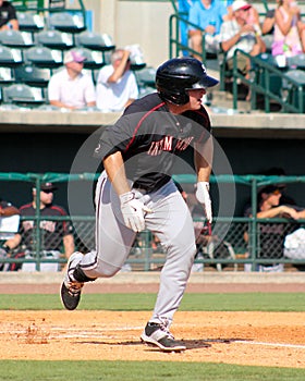 Michael Danner, Kannapolis Intimidators