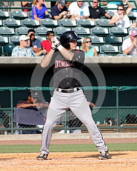 Michael Danner, Kannapolis Intimidators