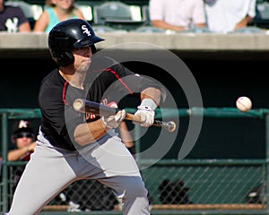 Michael Danner, Kannapolis Intimidators