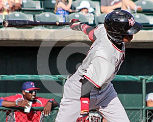 Michael De Leon, Hickory Crawdads