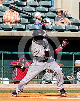 Michael De Leon, Hickory Crawdads